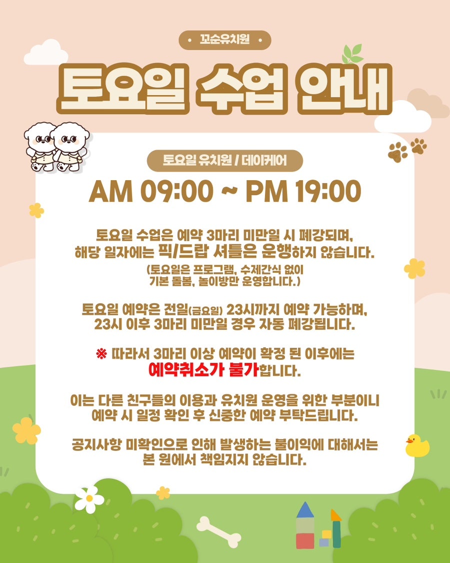 송파 꼬순유치원 솔직 후기: 강아지 사회성 & 놀이 경험 — 사진 5