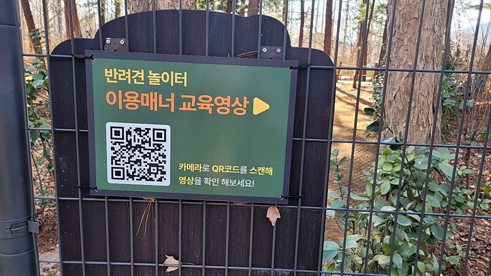 강남 매헌시민의숲 강아지 놀이터 무료 이용 후기 — 사진 3