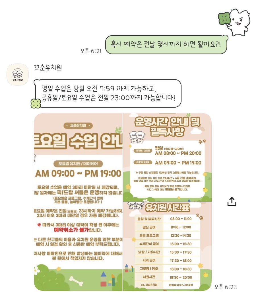 송파 꼬순유치원 솔직 후기: 강아지 사회성 & 놀이 경험 — 사진 4