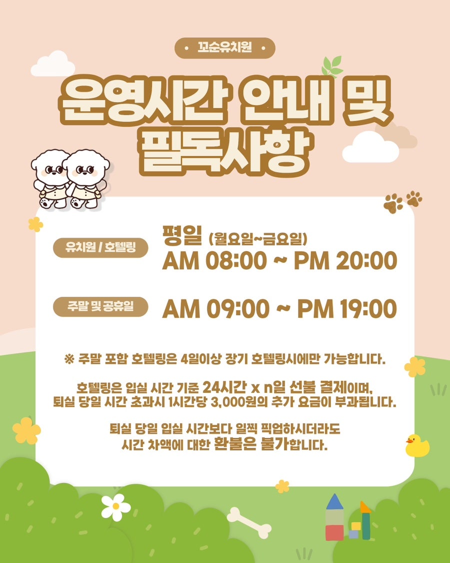 송파 꼬순유치원 솔직 후기: 강아지 사회성 & 놀이 경험 — 사진 6