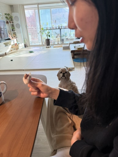 송화잔기지떡 용인점 대표 사진