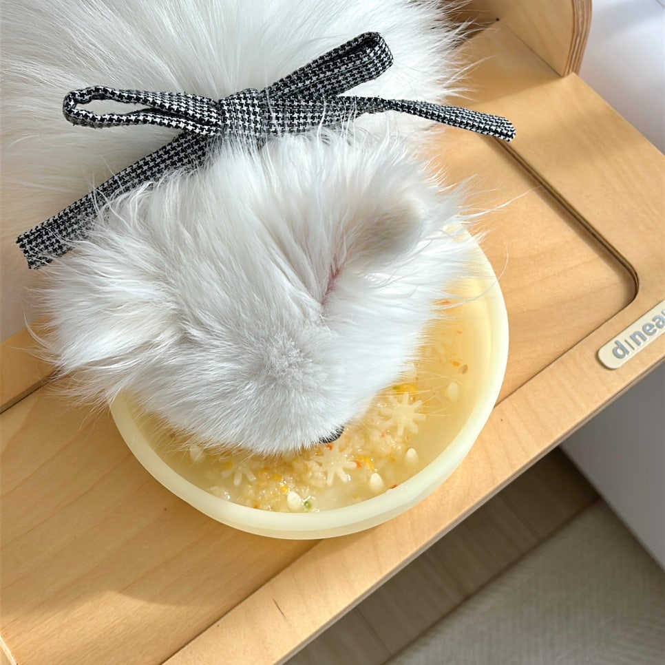 강아지 음수량 높이는 볼프레츠밀 생선 간식 후기 — 사진 9