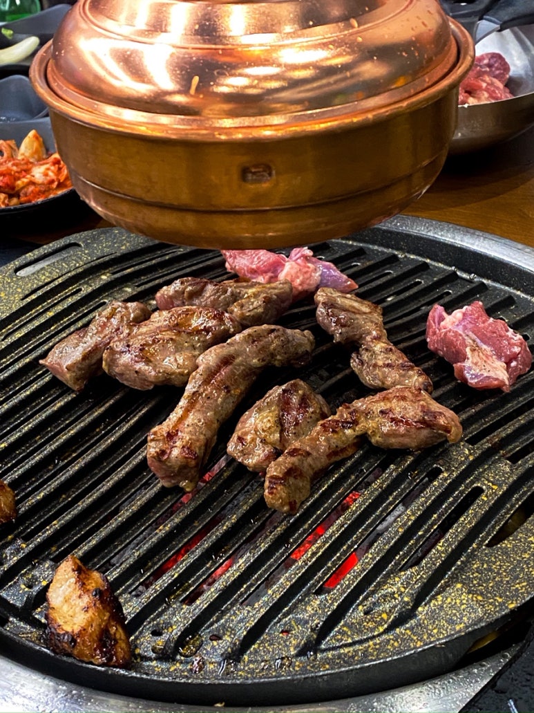 돌고돈 사진 8
