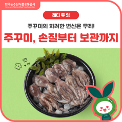 탱글탱글 식감의 비밀? 봄 주꾸미🐙손질부터 보관까지 한 번에! 바로가기