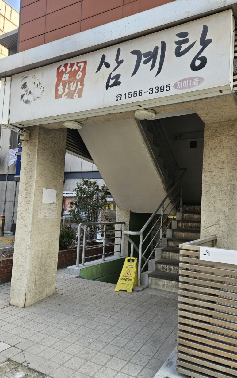 삼성한방삼계탕 사진 5