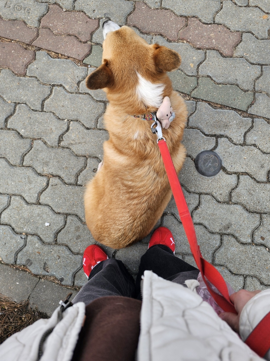 국수나무 대학로점 사진 6