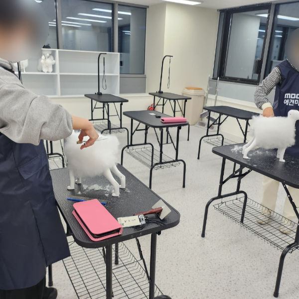 부천 애견미용학원, 체계적 교육으로 전문가 되기 — 사진 6