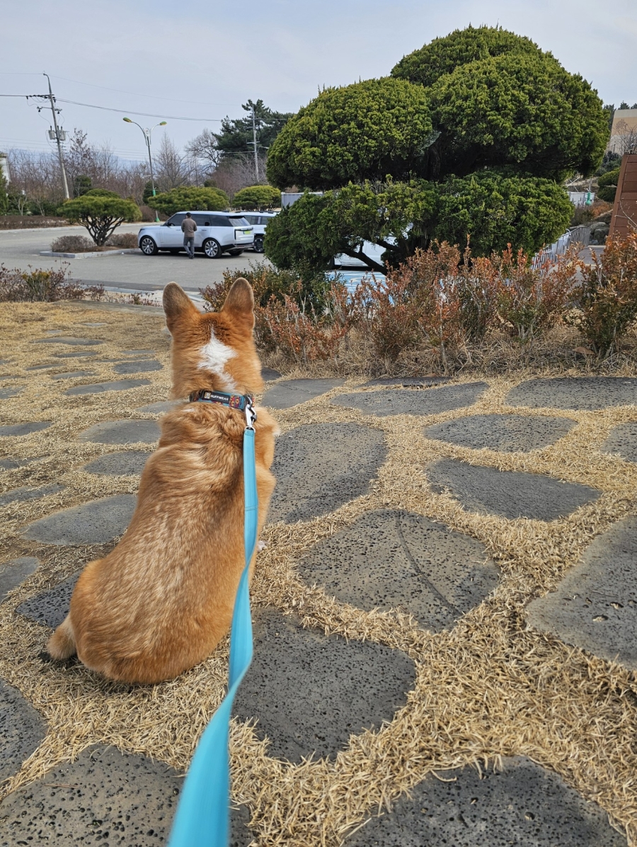 국수나무 대학로점 사진 3