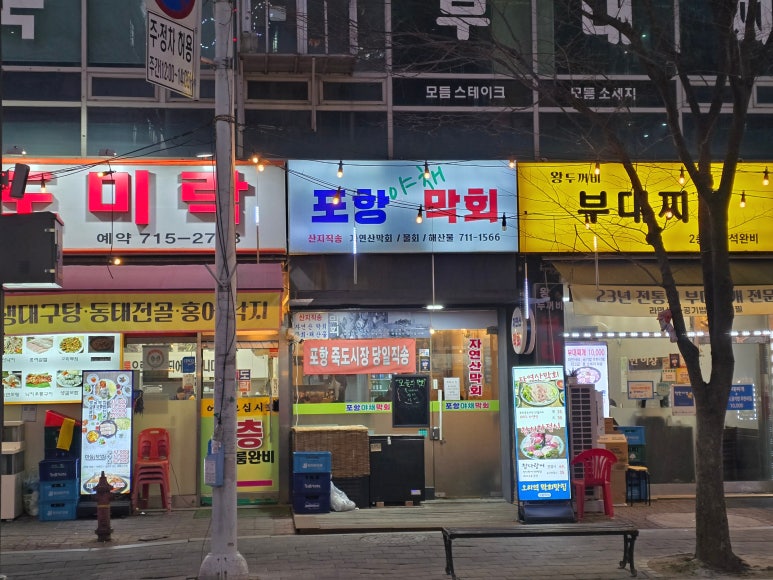 포항막회 사진 7
