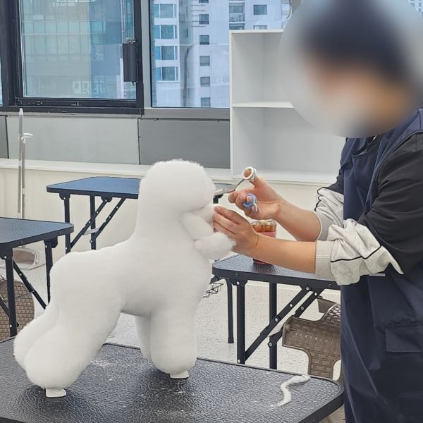 부천 애견미용학원, 체계적 교육으로 전문가 되기 — 사진 4