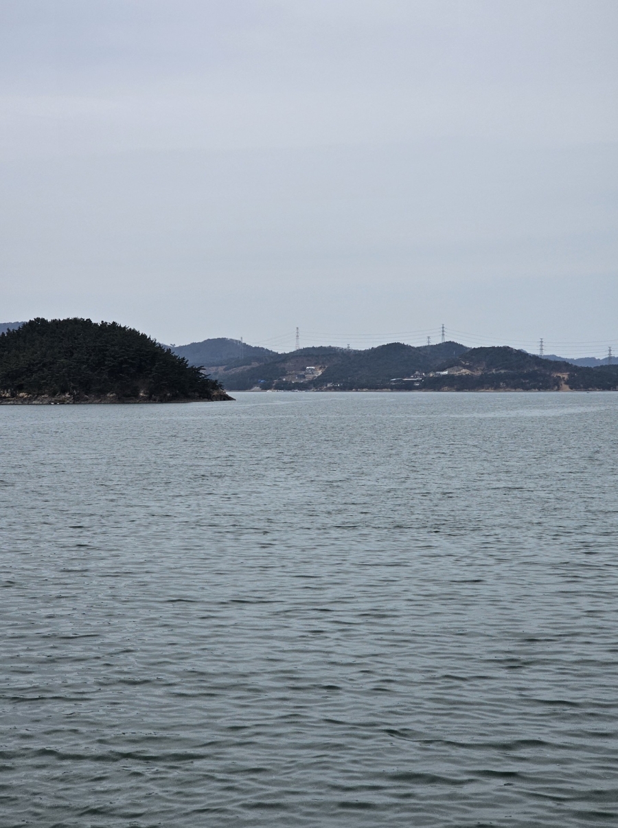 국수나무 대학로점 사진 5