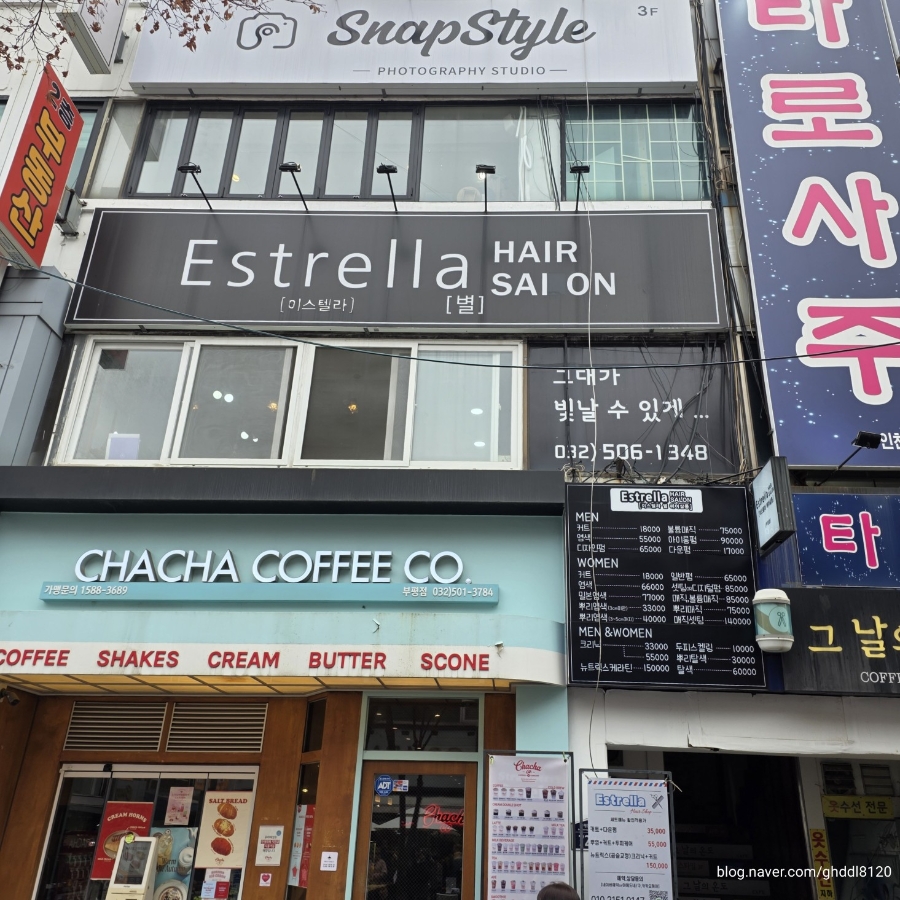 부평 강아지 사진관 스냅스타일, 합리적 가격의 추억 만들기 — 사진 2