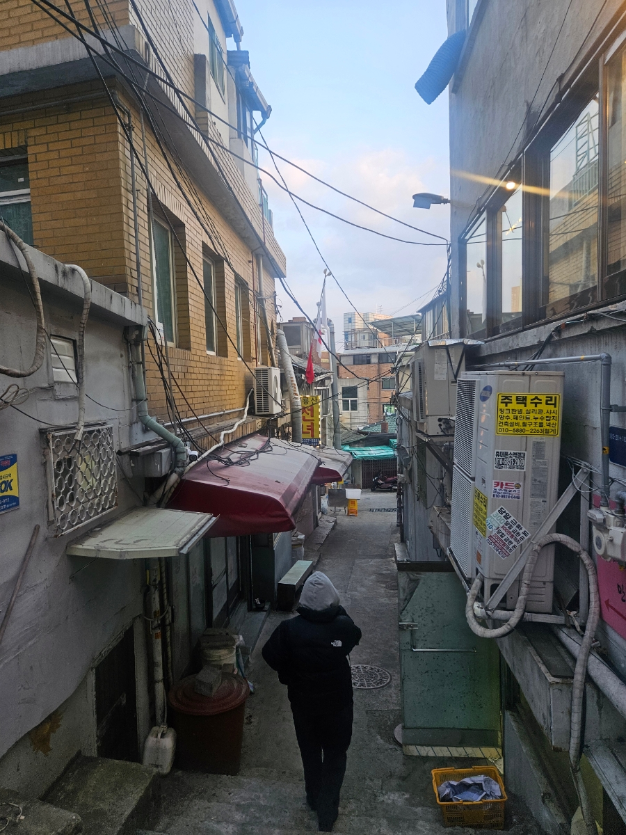 시후 사진 7
