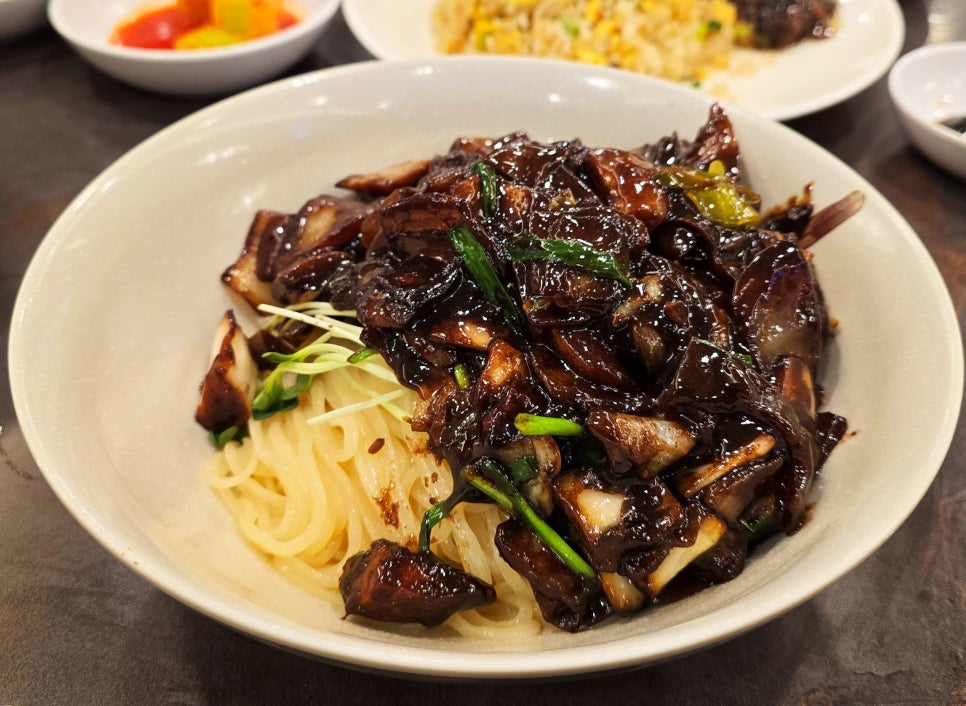 대륙 사진 7