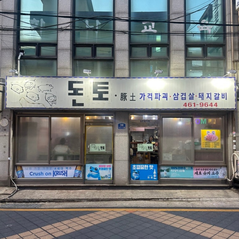 돈토 사진 5