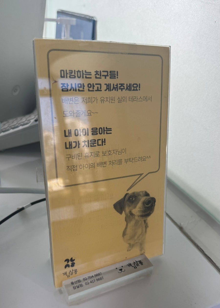 송파 개님살롱 애견유치원, 6시간 이용 후기 — 사진 13