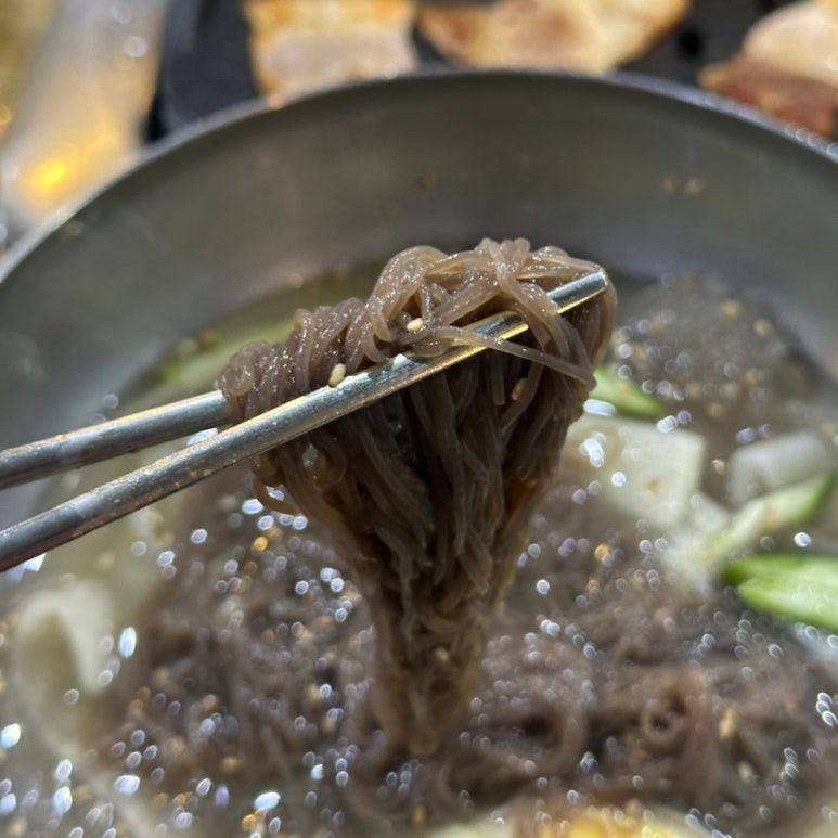 돈토 사진 6