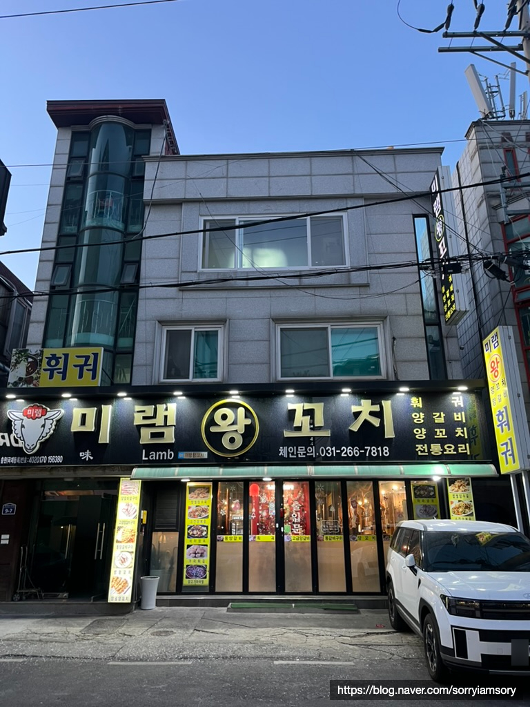 미램왕꼬치 사진 5