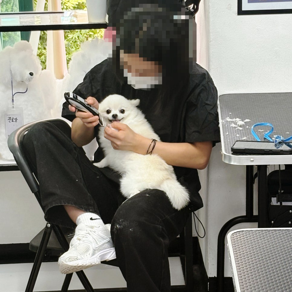 노원 애견미용학원 직장인 후기: 자율출석제로 미래 준비 — 사진 12
