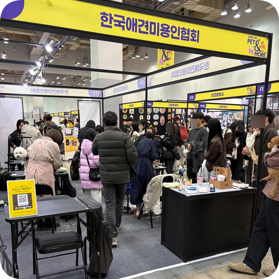 부산 애견미용학원 이바우펫, 펫앤모어 박람회 무료 미용 후기 — 사진 8