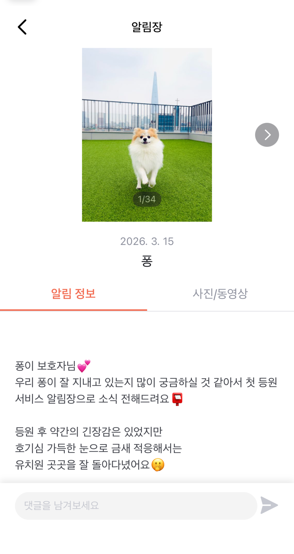 송파 애견 유치원 옐레드 헬리오시티점 비용 및 후기 — 사진 9