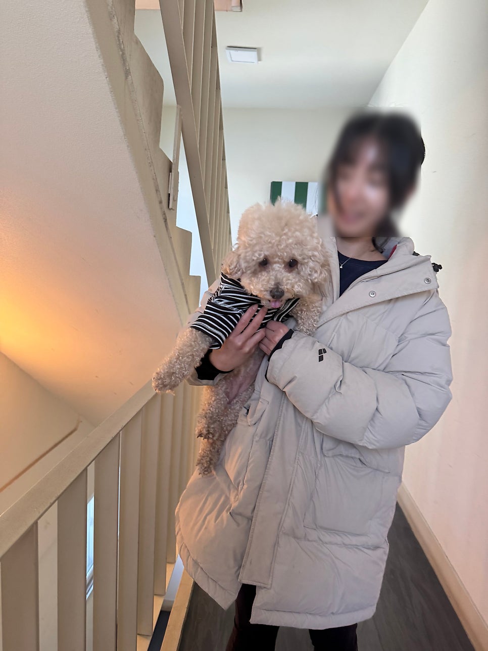 성수 애견유치원 퍼피숲의집, 첫날부터 성공적인 후기 — 사진 8