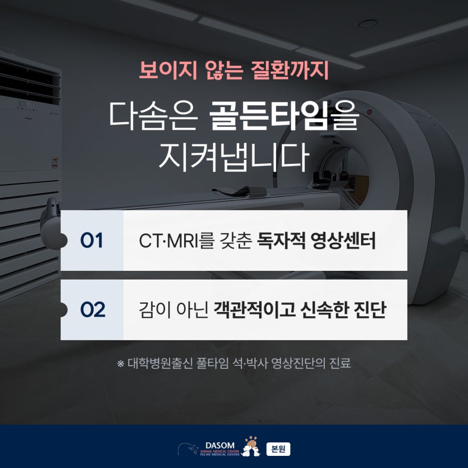 부산 강아지 심장사상충 검사 및 치료 후기 — 사진 8