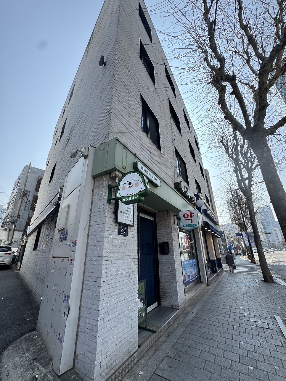 성수 애견유치원 퍼피숲의집, 첫날부터 성공적인 후기