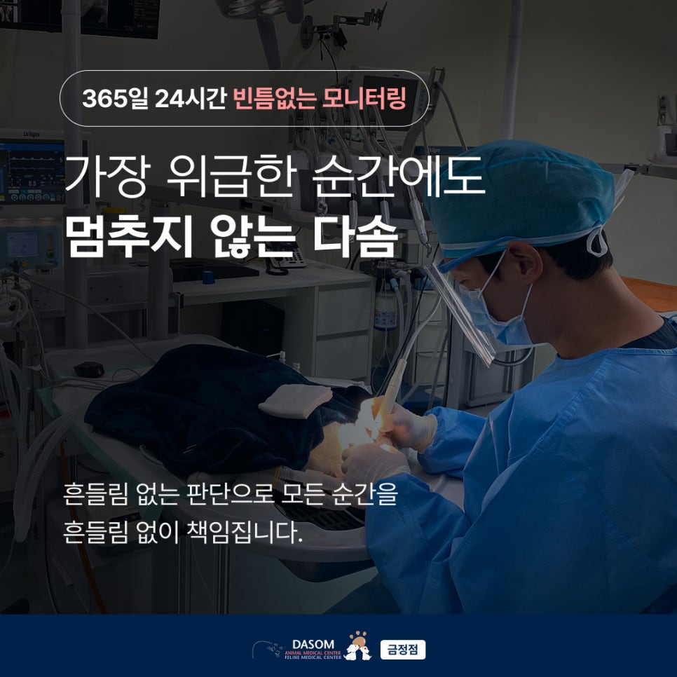 부산 강아지 담낭점액종 수술, 구토 증상과 회복 과정 — 사진 2