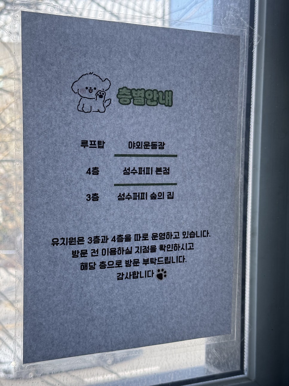 성수 애견유치원 퍼피숲의집, 첫날부터 성공적인 후기 — 사진 7