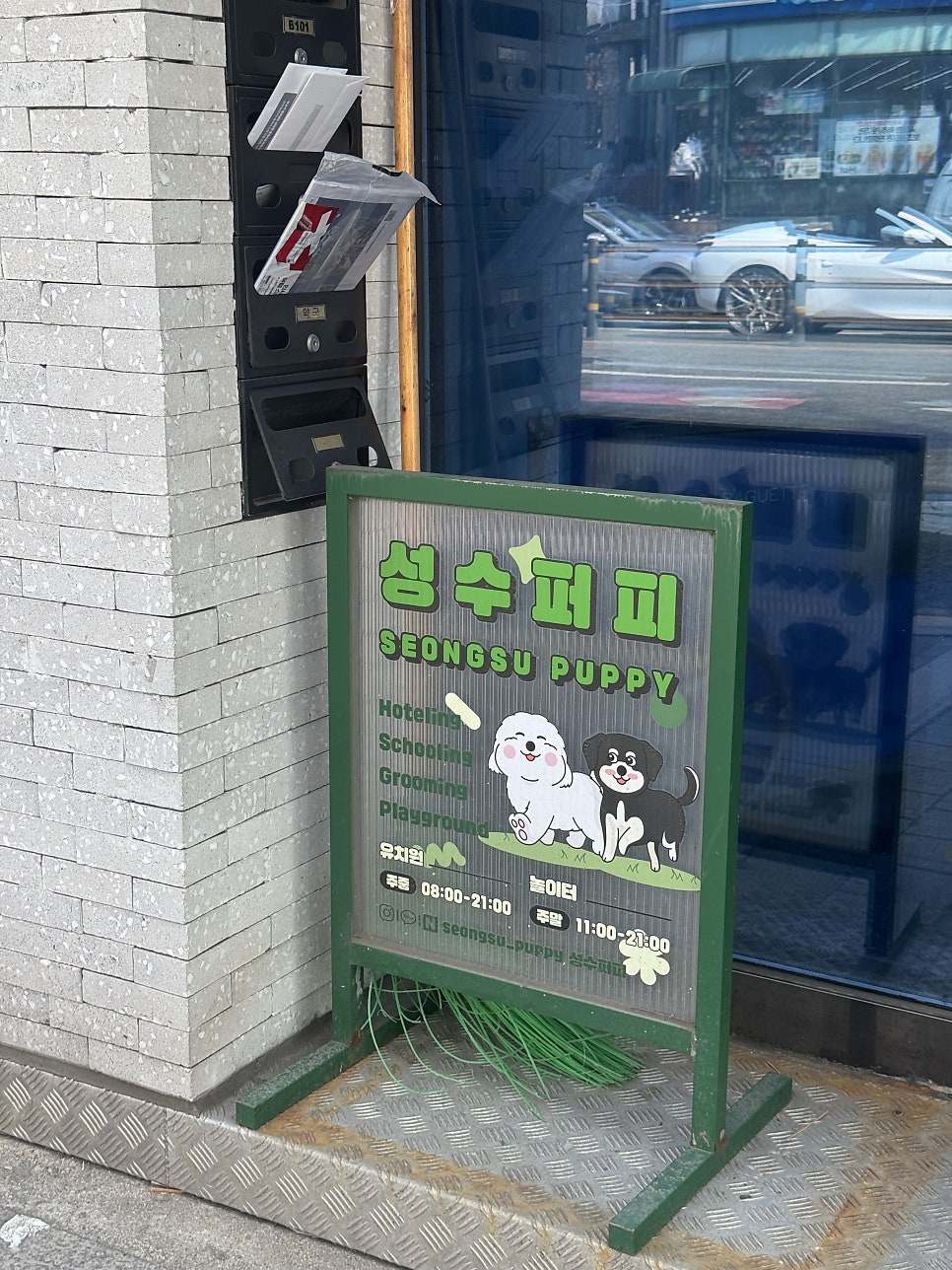 성수 애견유치원 퍼피숲의집, 첫날부터 성공적인 후기 — 사진 3