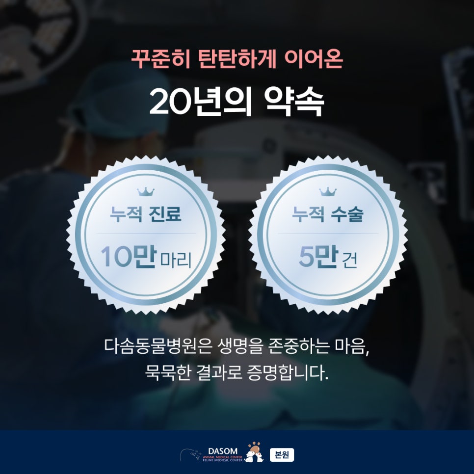 부산 동물병원 추천: 다솜 20년 진료 경험과 분과별 협진 시스템 — 사진 2