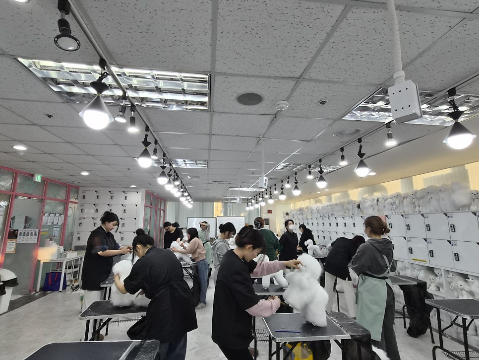 애견미용학원 비용, 자격증 취득까지 현실적인 선택 가이드 — 사진 4