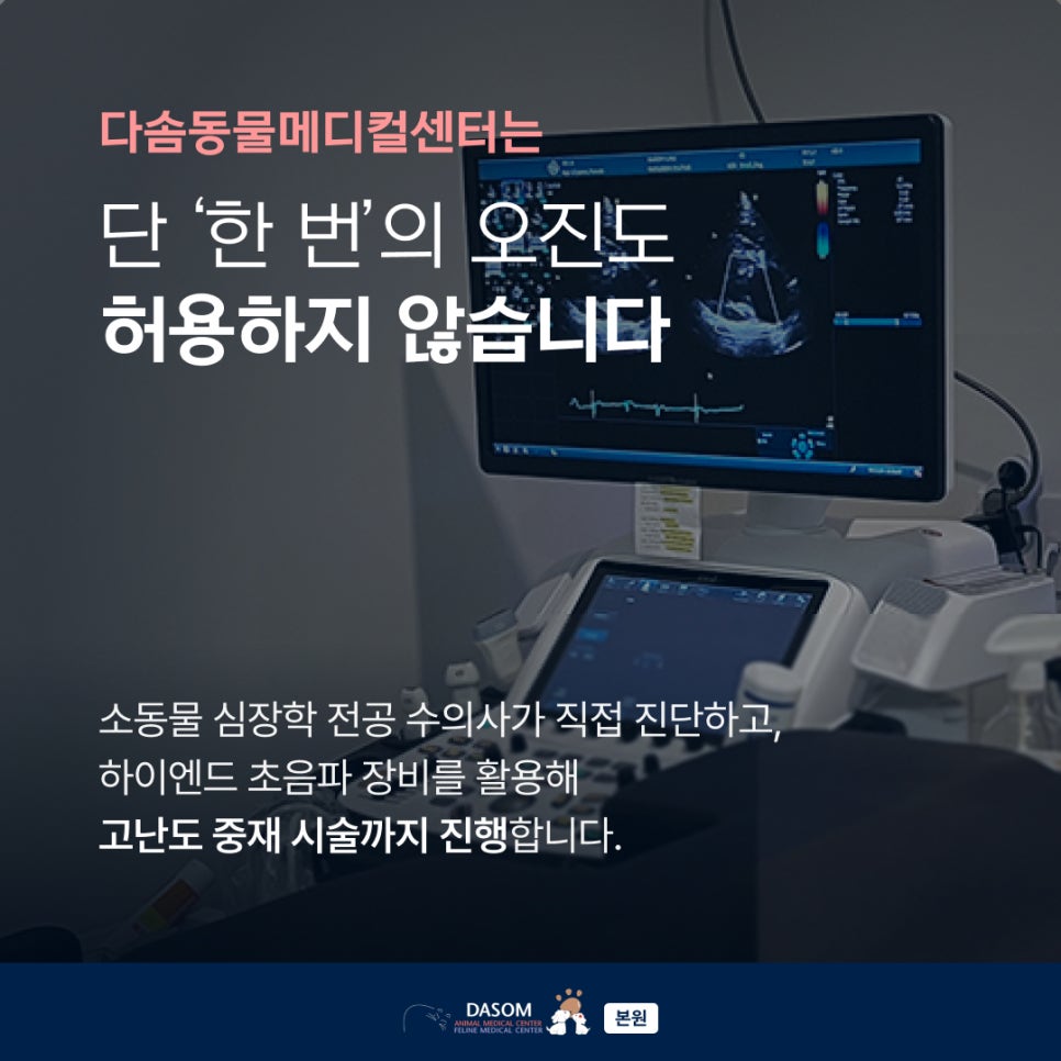 부산 동물병원 추천: 다솜 20년 진료 경험과 분과별 협진 시스템 — 사진 3