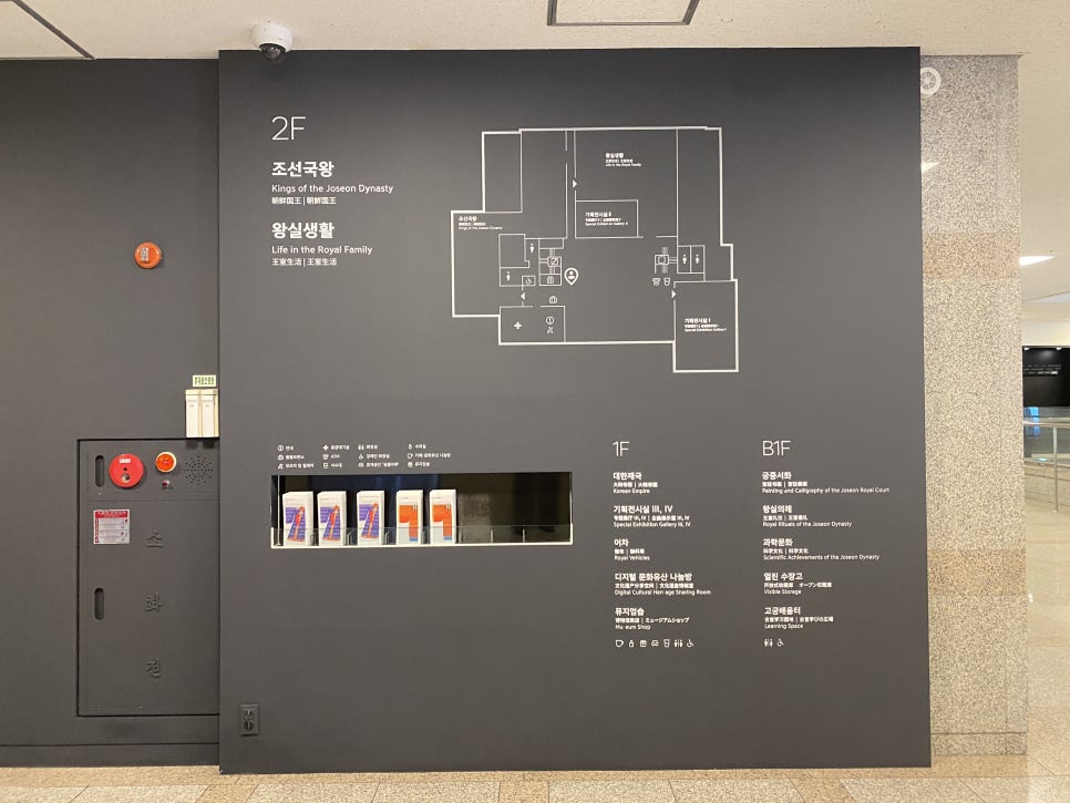 브로콜리 지역정보 관련 사진 26