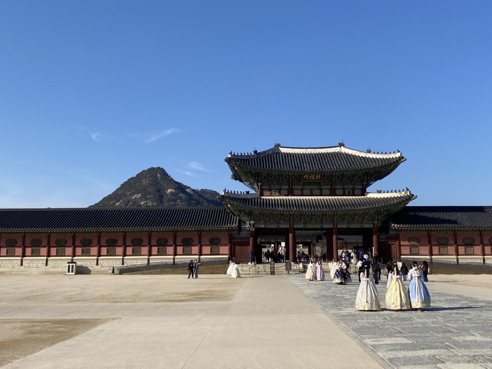 브로콜리 지역정보 관련 사진 72