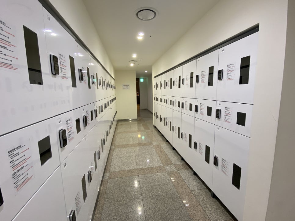 브로콜리 지역정보 관련 사진 23