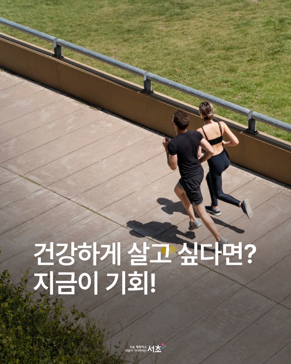 브로콜리 지역정보 관련 사진 1