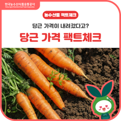 당근이 이렇게 저렴했어?🥕팩트체크✅해드립니다! 바로가기