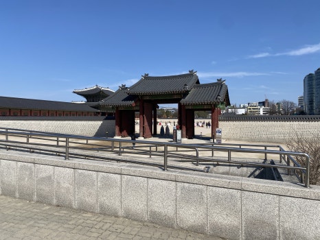 브로콜리 지역정보 관련 사진 12