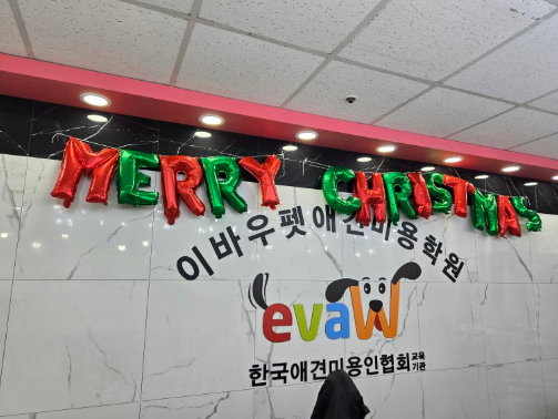 대전 애견미용학원, 이바우펫에서 자격증 취득하기 — 사진 2