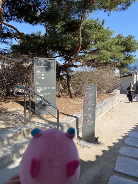 브로콜리 지역정보 관련 사진 8