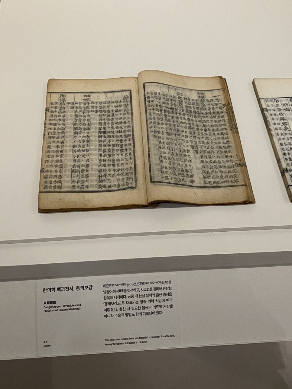 브로콜리 지역정보 관련 사진 47