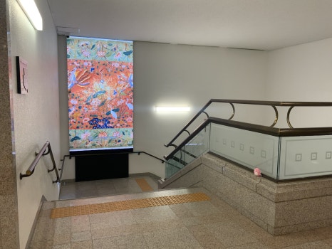 브로콜리 지역정보 관련 사진 55