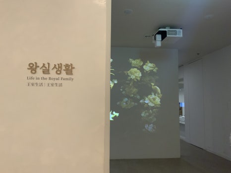 브로콜리 지역정보 관련 사진 45