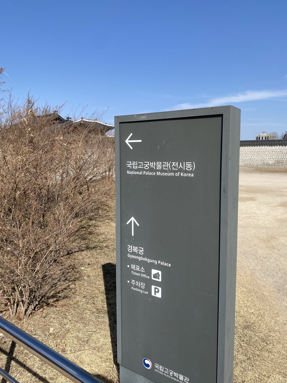 브로콜리 지역정보 관련 사진 10