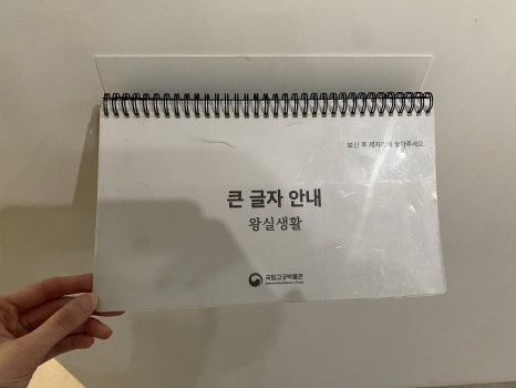 브로콜리 지역정보 관련 사진 42