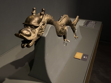 브로콜리 지역정보 관련 사진 38