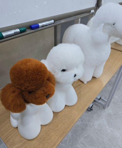대전 애견미용학원, 이바우펫에서 자격증 취득하기 — 사진 4