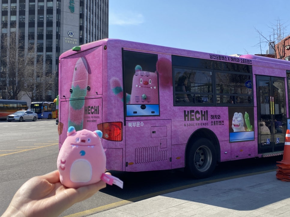 브로콜리 지역정보 관련 사진 5